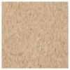 Armstrong Flooring Imperial Texture 45-Piece Nougat Commercial VCT Tile -Flooring Shop 042369278355xl 1800x1800