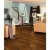 Armstrong Flooring Pickwick Landing I 12-ft W Cut-to-Length Bear Path Oak Dark Brown Wood Look Low-Gloss Finish Sheet Vinyl -Flooring Shop 042369866538 04463276 1800x1800