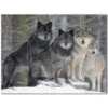 Wolf Wolves Ceramic Tile Mural Kitchen Backsplash Bathroom Shower 403125-S43 -Flooring Shop 0be6a1be 873e 4407 823b c1abf3473d97 1.0cec6fc6d28dfd64fba5e0499f4909d8 1800x1800