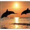 Dolphin Ceramic Tile Mural Kitchen Backsplash Bathroom Shower, 402794-XL64 -Flooring Shop 1984c1b4 34c3 4a87 b5a4 95ccd3b80a86 1.ea9477ae6ade193e9a47d5be483fdff4 1800x1800