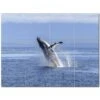 Whale Ceramic Tile Mural Kitchen Backsplash Bathroom Shower 403086-S43 -Flooring Shop 363df1ca 2eb9 4cdb 9ab9 567d7a777be7 1.bb7b5afcb4d4871e1dd9253f658c86ed 1800x1800