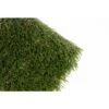 AstroLawn Bella Artificial Grass Synthetic Lawn Turf Sold By 15 Ft. Wide X Customer Length -Flooring Shop 42d0ba84e549ecf7a2c106adcf9b83b7 1800x1800