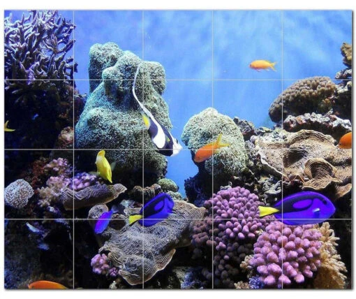 Coral Fish Underwater Ceramic Tile Mural Kitchen Backsplash Bathroom Shower, 403 -Flooring Shop 462a89b3 1b5f 45c0 a8ad