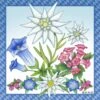 Edelweiss Flower Magnetic Tile -Flooring Shop 48881c3f 6442 49e3 b3cd 3fdacb184d9d 1.ed82f25de3473828e1e22cb58a2958cf 1800x1800