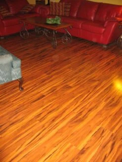 BuildDirect Siberian Tigerwood 12mm 48" X 6.62" Laminate Flooring (21.963sq. Ft. Per Box) -Flooring Shop dc2eb429 706b 4971 9ba8 281643a596bb 1.c0f700d554ebb28705bafe4e47a8aa16 1800x1800