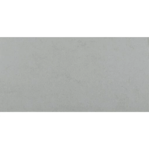 MSI Beton Graphite 12 In. X 24 In. Matte Porcelain Floor And Wall Tile (16 Sq. Ft. / Case) -Flooring Shop