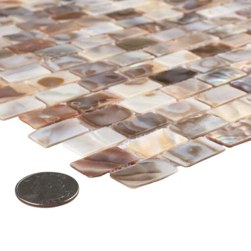 Merola Tile Conchella Subway Natural 12-1/4 In. X 12-1/2 In. X 2 Mm Natural Seashell Mosaic Tile -Flooring Shop